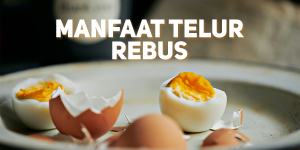 Telur rebus