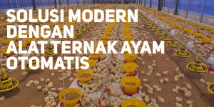 Alat Ternak Ayam Otomatis