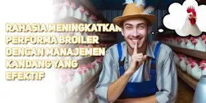Manajemen Kandang